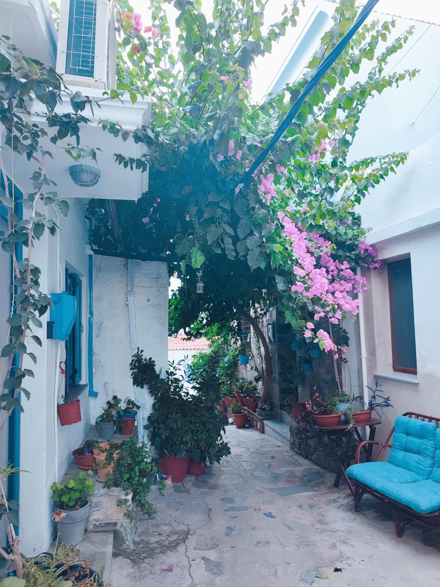 Kastro House Villa Skopelos Dış mekan fotoğraf